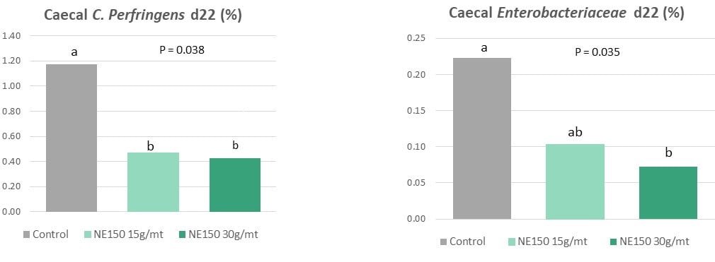 Figure 1: Reduction in caecal C. perfringens & Enterobacteriaceae 8 days post-challenge with Eimeria