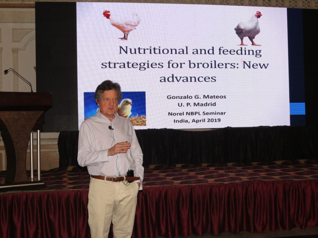 NBPL ANNOUNCES JOINT VENTURE WITH NOREL