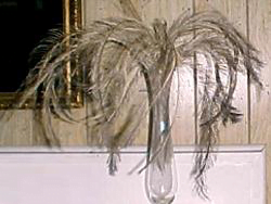 emu feather2