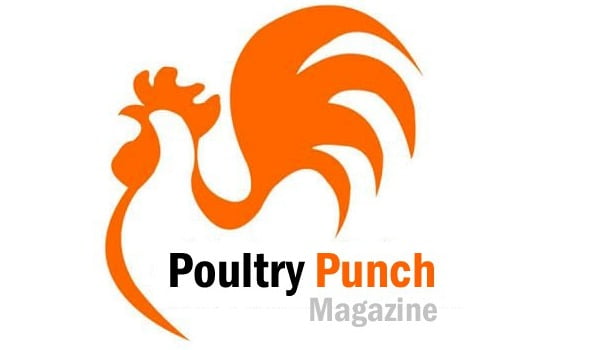 POULTRYPUNCH01