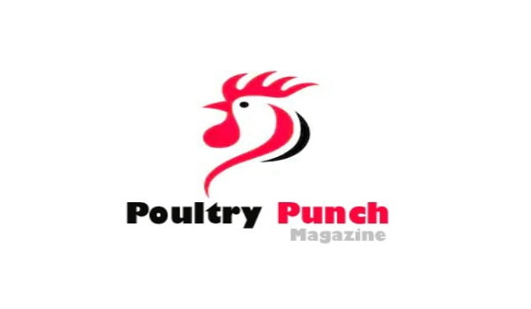 POULTRYPUNCH04