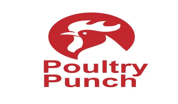 POULTRYPUNCH03