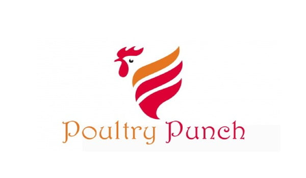 POULTRYPUNCH05