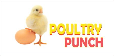 POULTY PUNCH