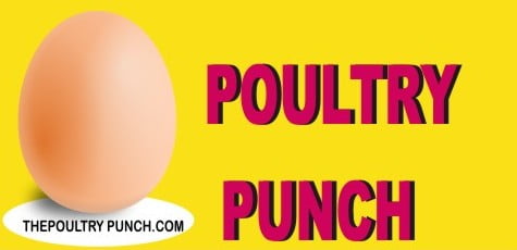 ADS PUNCH 2