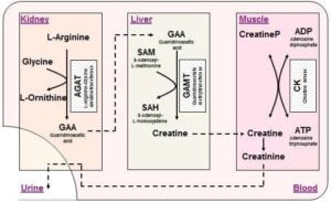 evonik image 1