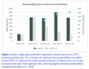 Figure 1Body weight gain of broilers