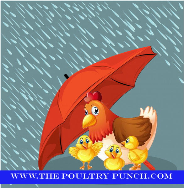 depositphotos 5649748 in the rain umbrella vector copy