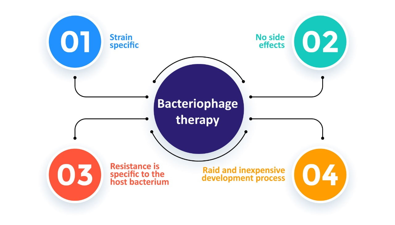 BACTERIOPHAGES AND THEIR APPLICATIONS IN THE POULTRY INDUSTRY