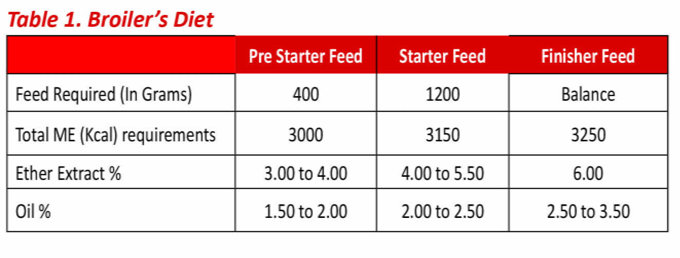 OPTIMIZING UTILIZATION OF FATS & OILS IN POULTRY NUTRITION ENGLISH