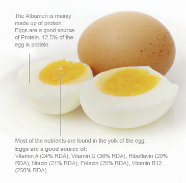 ENRICHED EGGS PRODUCTION IS A DYNAMIC APPROACH TO IMPROVE GLOBAL