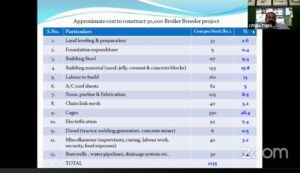 cost estimate of a breeder project