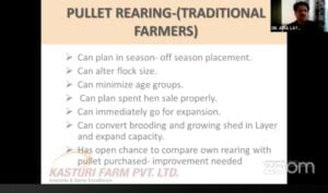 pullet business kasturi farms