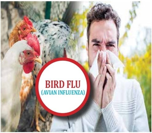 flu image