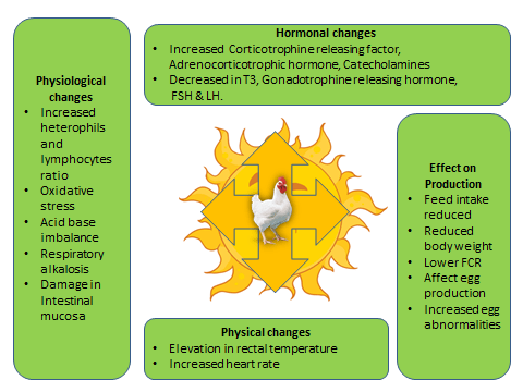 heat stress graph