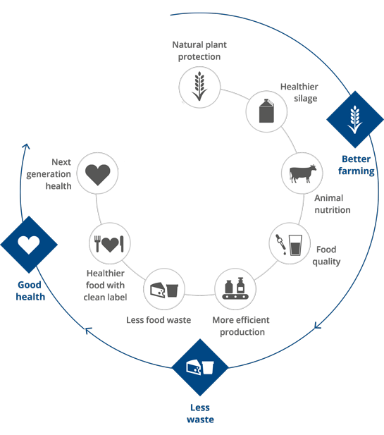 Fig 1 Chr. Hansen offers natural solutions at every step of the value chain from farm to fork. With its probiotic range, the Company contributes to several parts of animal protein delivery chain.