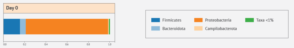 MAINTAINING A HEALTHY GUT