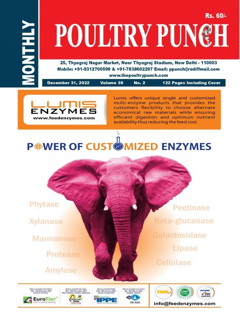 english-magzine-english-monthly-magazine