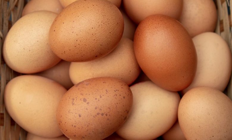 EGG CONSUMPTION AND HUMAN HEALTH