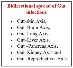 Bidirectional Spread of Gut Infections to other Organs in Poultry