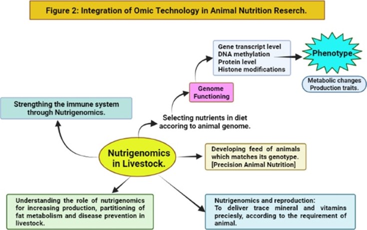  Omics technology integration in animal nutrition research.