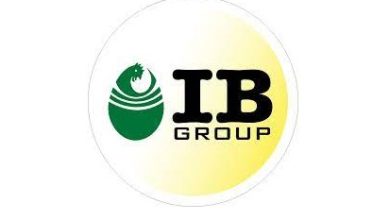 IB Group’s Knowledge Day Series 2023