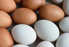 duck chicken egg eggs 1296x728 header