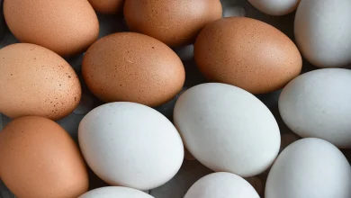 duck chicken egg eggs 1296x728 header