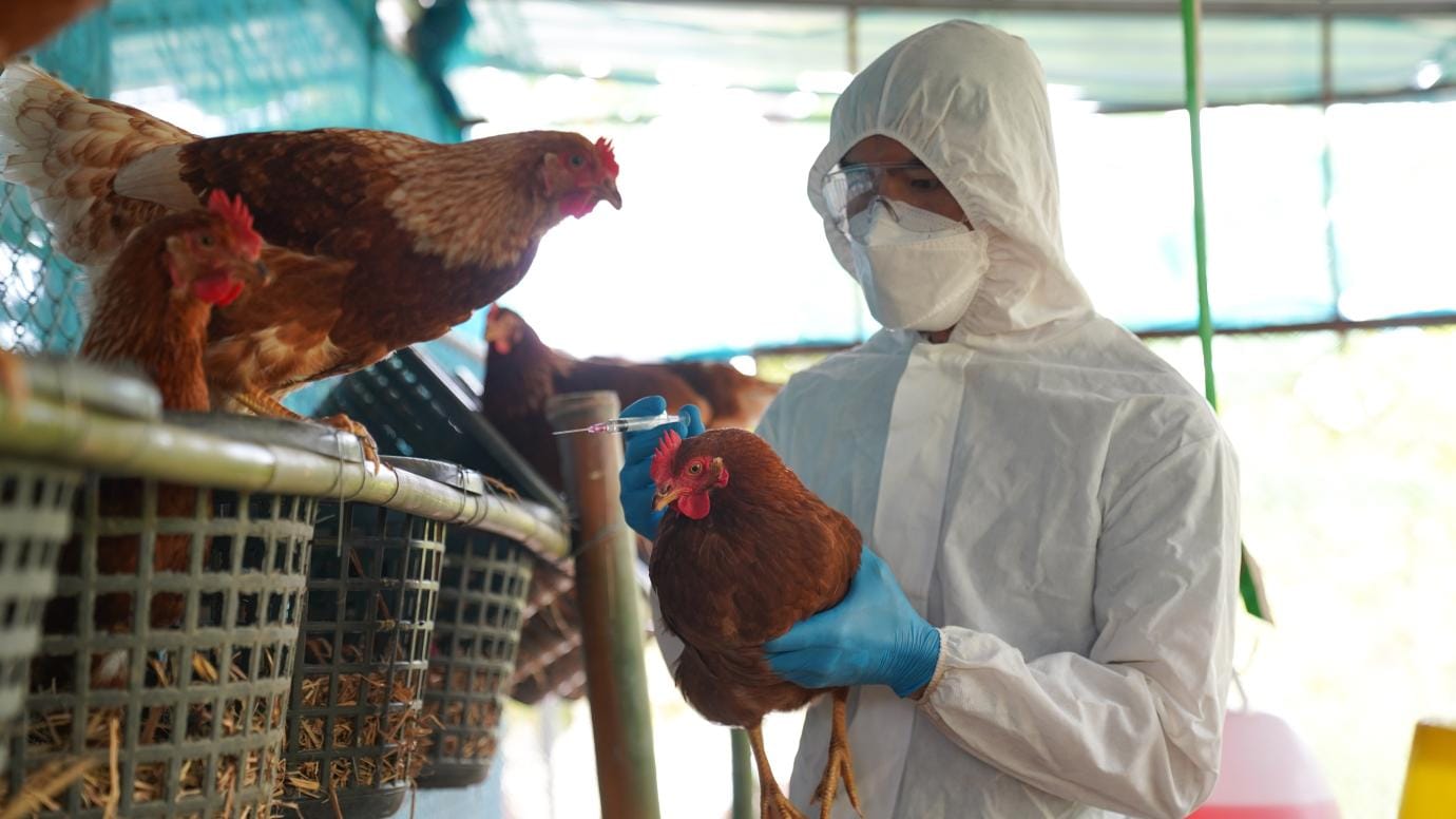 Bird Flu Scare in India - ENGLISH MONTHLY MAGAZINE