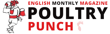 ENGLISH MONTHLY MAGAZINE