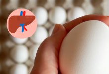 Blog Liver health egg production copia
