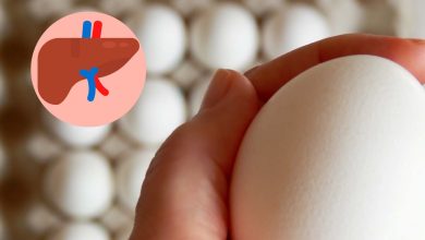 Blog Liver health egg production copia