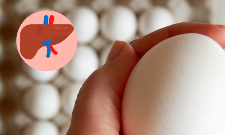 Blog Liver health egg production copia