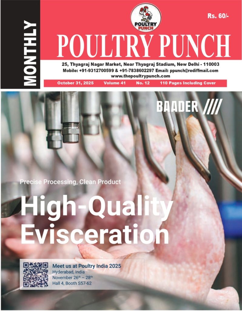 WhatsApp Image 2025 10 30 at 12.00.54 PM