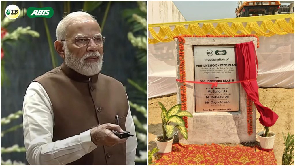 559180096 1209438314563933 5864851410434962807 n