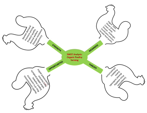 SWOT Analysis of Organic Poultry Farming