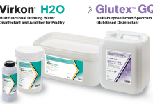 VirkonRH20 and GlutexTGQ1