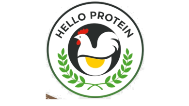 HELLO PROTEIN 59 Screenshot 894