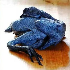 kadaknath chicken meat