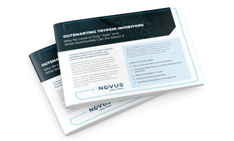 WhatsApp Image 2026 03 07 at 5.54.21 AM