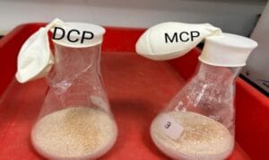 Composite Premix Systems in Modern Poultry Nutrition 3 Picture2gjv