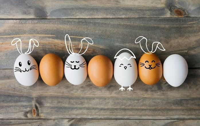 Beat the Summer Drop EggSpur Supports Consistancy When Hen Stress Celebrate National Egg Day 5 images 1