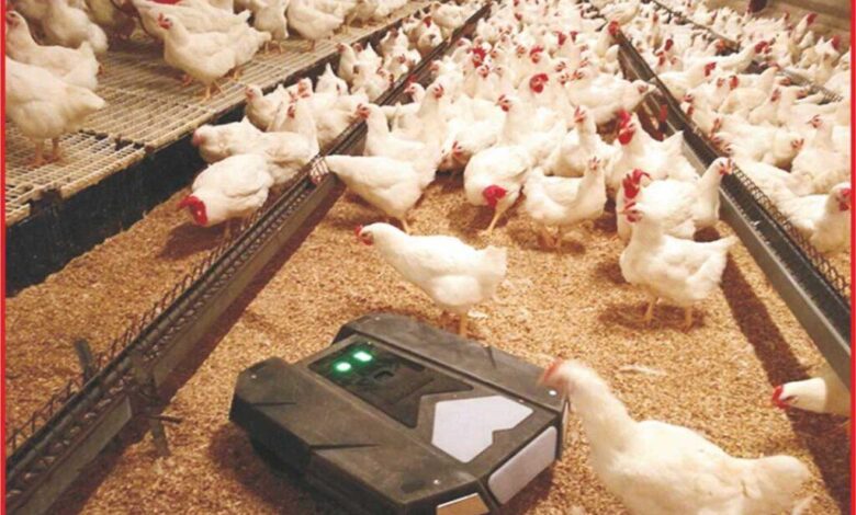 Latest Poultry Farming Technologies for Higher Productivity and Profitability 1 04 1024x689 1
