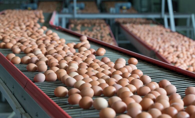 EggProduction