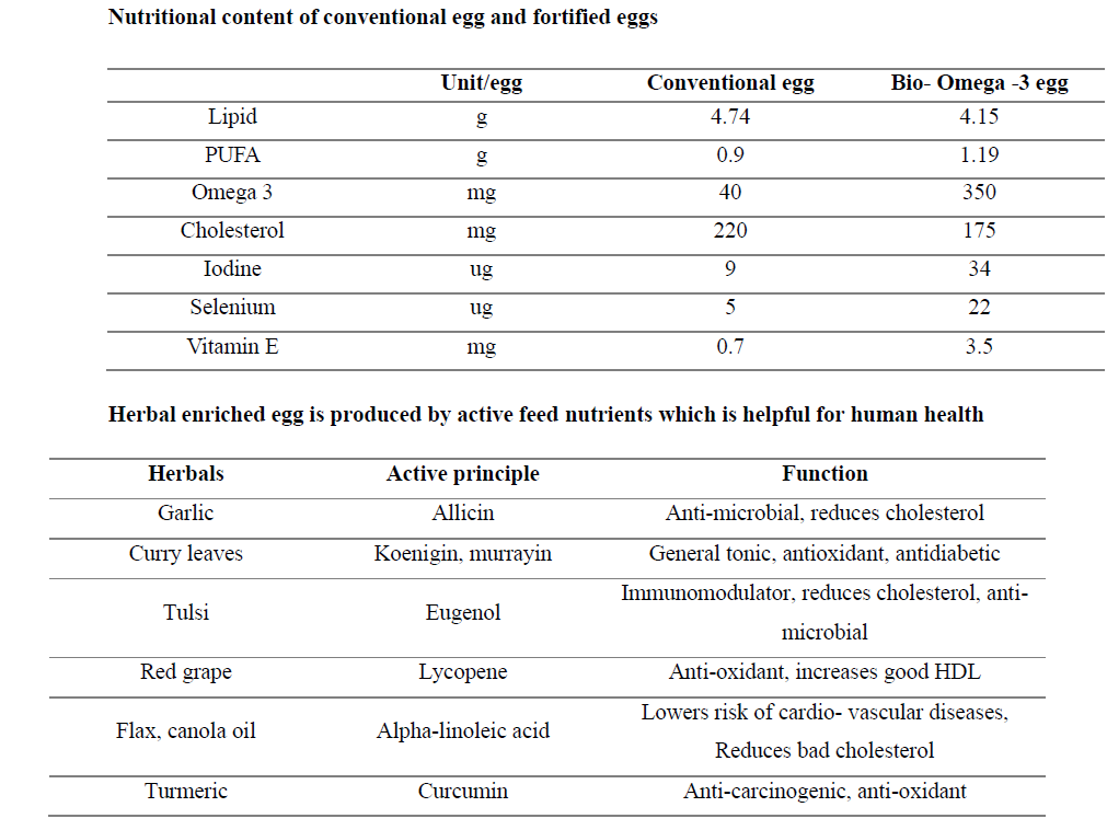 CONCEPT OF DESIGNER POULTRY MEAT AND EGG PRODUCTION 10 Screenshot 1339 1